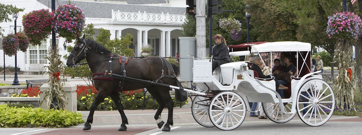 Frankenmuth Insurance Community and Quality of Life