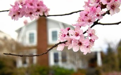 13 ways to get your home ready for spring.