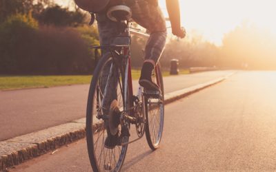 Cycling 101: Safety tips for riders and drivers.