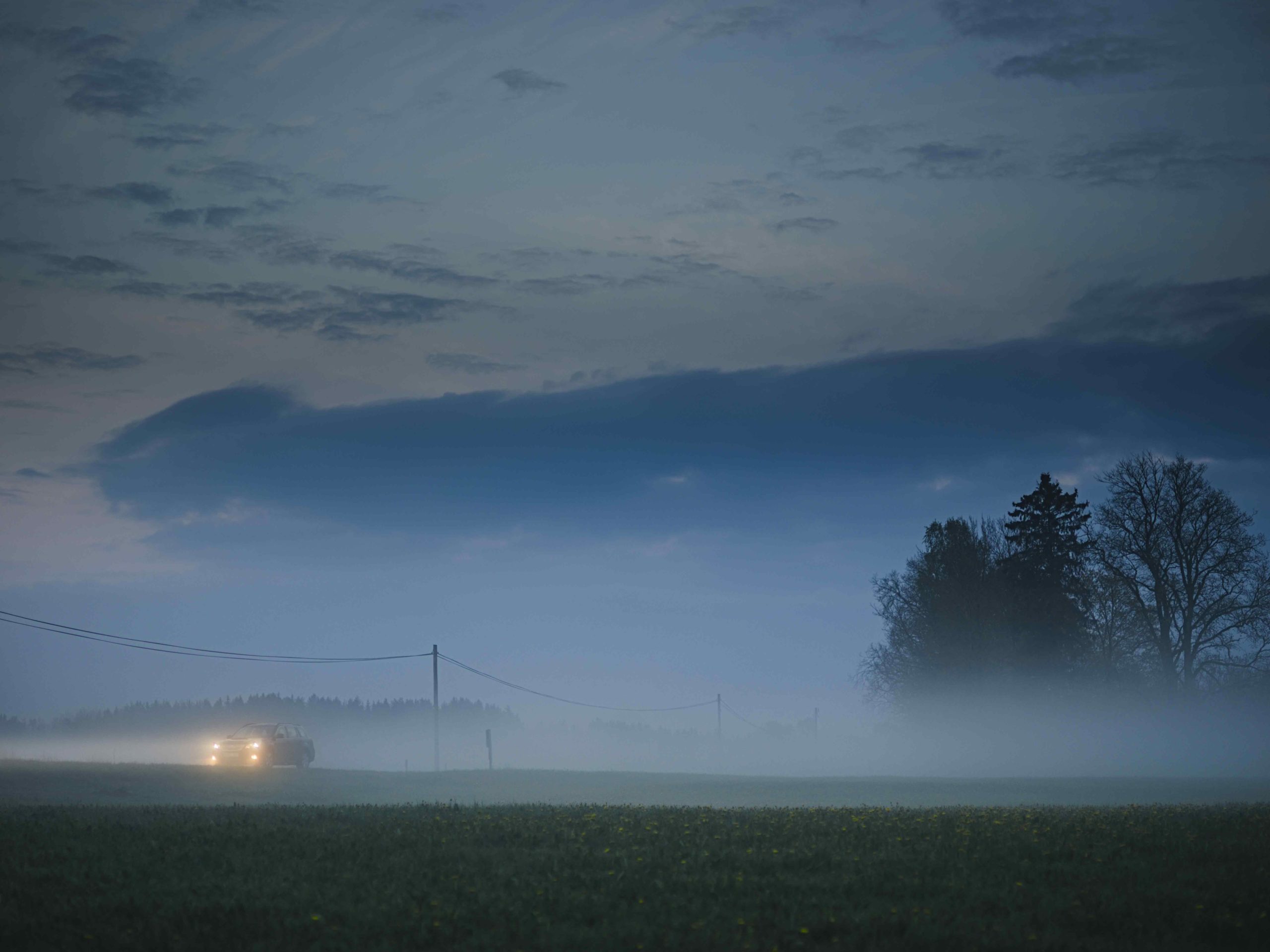 driving in the fog