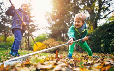Daylight saving time: Here are 7 great ways to use that extra hour.