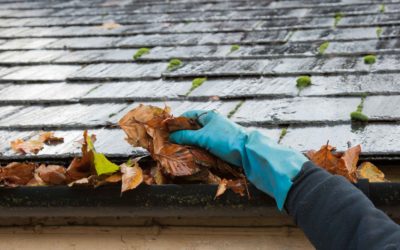 How to prepare for a hurricane: 5 tips to stay safe.