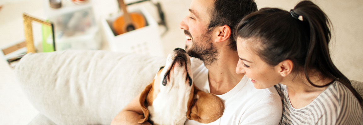 Renters Insurance Renters Insurance