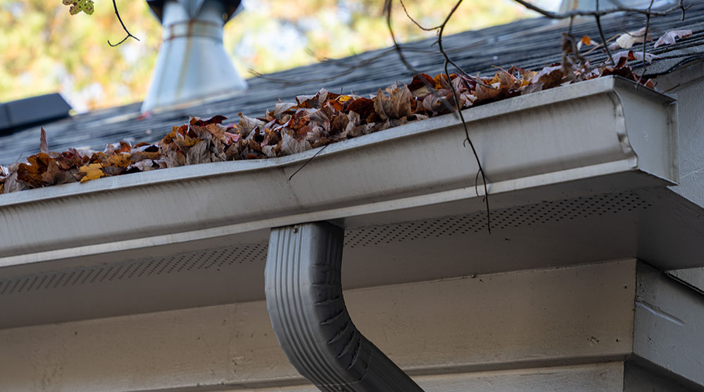 11 surprising ways water can get into your house.