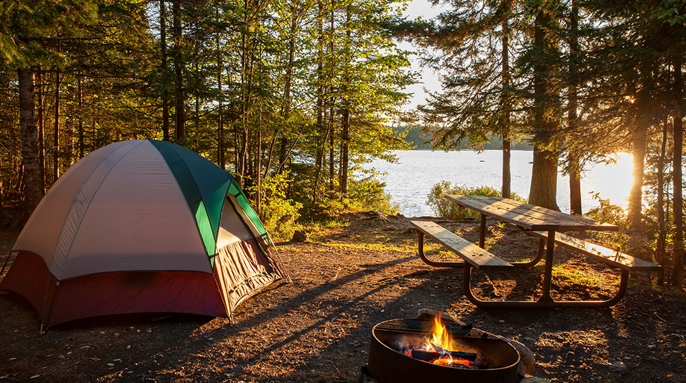 Campsite safety